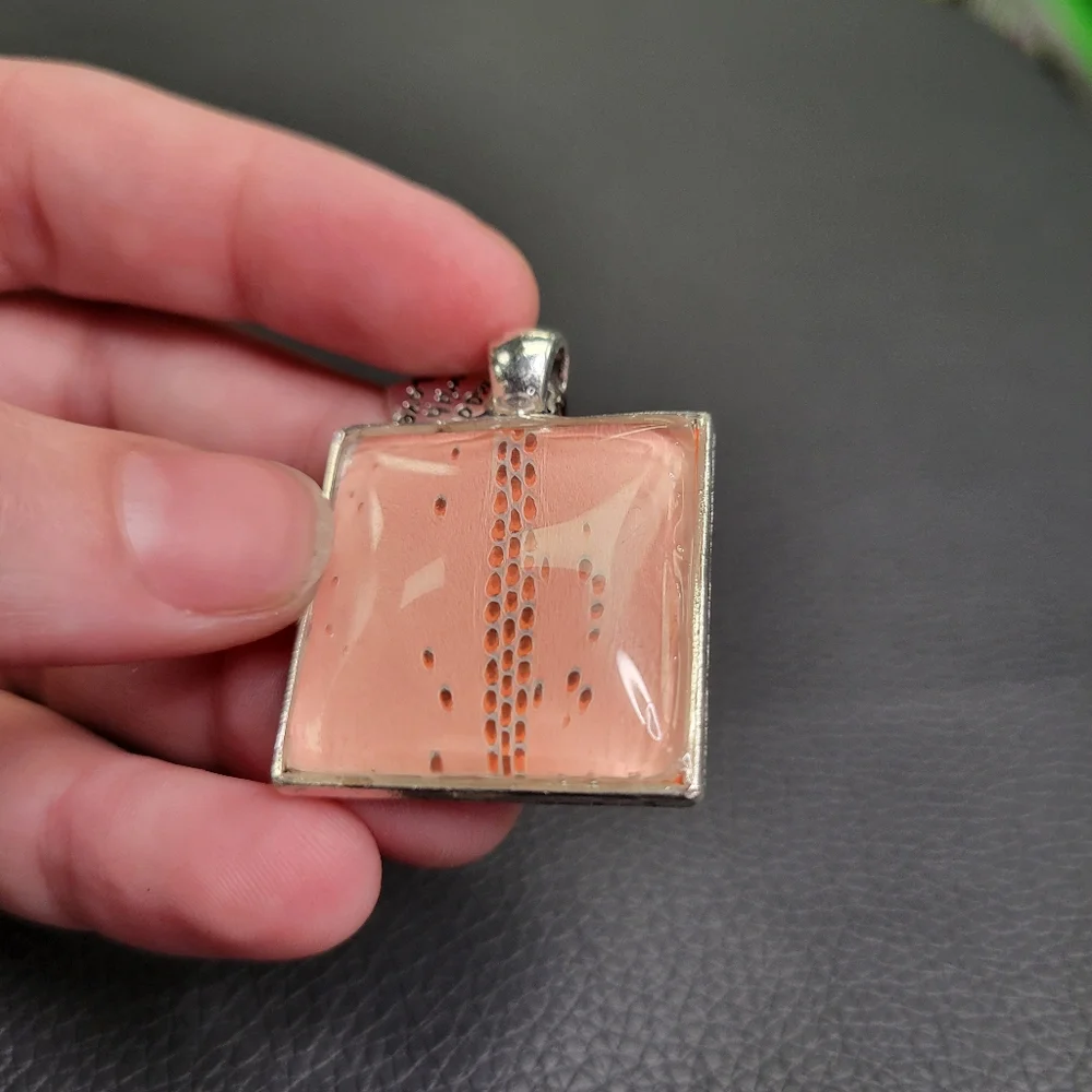 Snake shed necklace - Picture 3 of 4